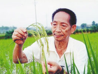 【袁隆平逝世四周年】农业科技创新与粮食安全：袁隆平精神引领行业发展