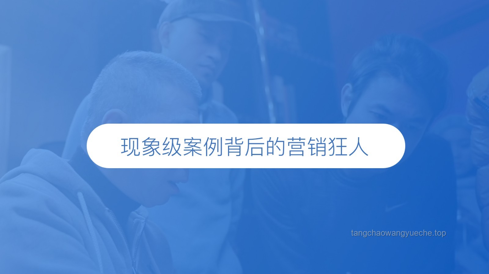 【warma】现象级情感表达背后的粉丝文化构建案例研究