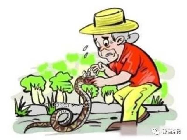 被蛇咬后的应急处理将更趋科学规范化
