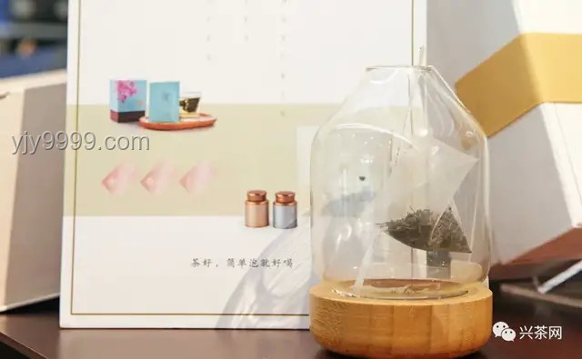 00后流行养“宠物酵母”：新潮流背后的深度剖析