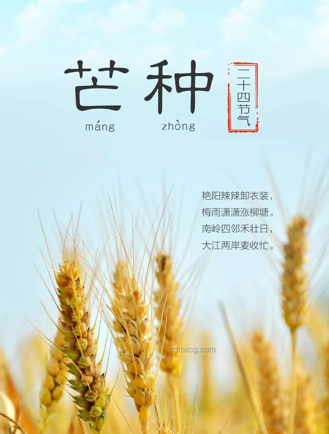 今日芒种，播种创新之种：跨界融合播种未来