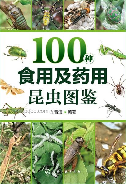 虫咬风险高发期：虫害防控行业迎来挑战与机遇