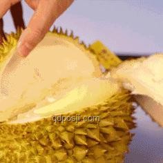 暴跌的榴莲：价格变动背后的市场与产业链分析