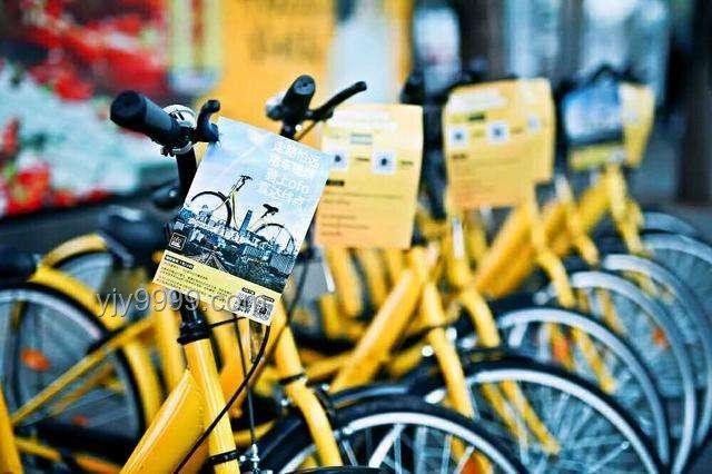 男孩多次骑走他人贵价自行车：行为动机与社会影响分析