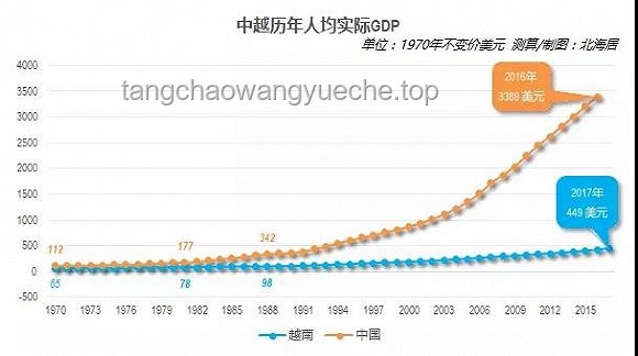 龙葵文化现象毕业转场趋势预测
