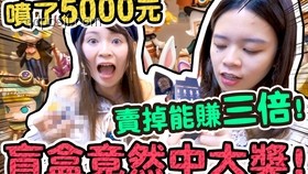 初代Labubu拍卖成交指南：如何参与并成功竞拍