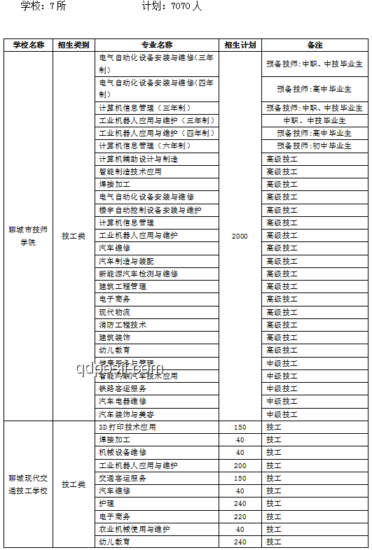 高鼻梁审美标准与行业洞察