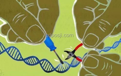 中国科学家首证史前母系社会，Nature成果重大意义解析