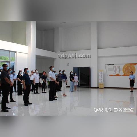 萌宠踢冻干挑战问题解决方案：提升宠物参与度和安全性