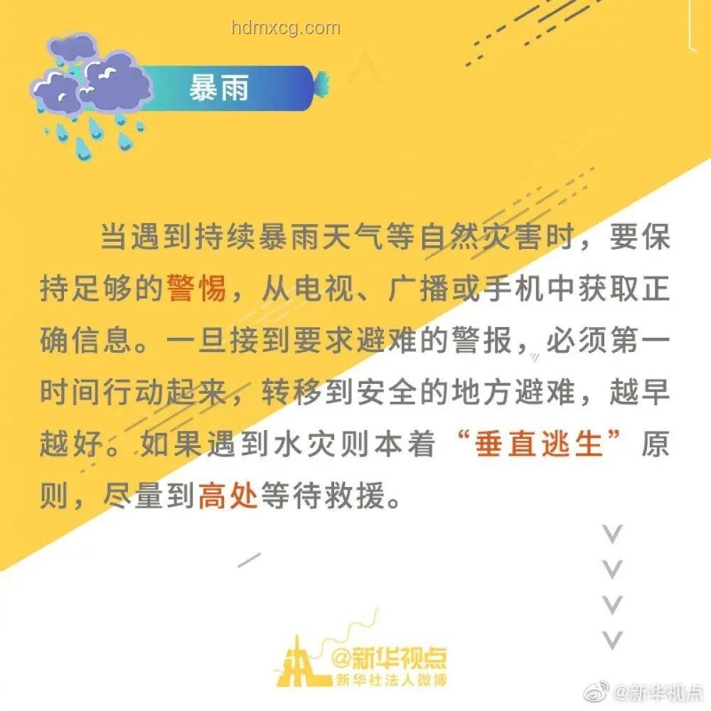 台风蝴蝶海南东方登陆案例研究：应急响应与防灾减灾