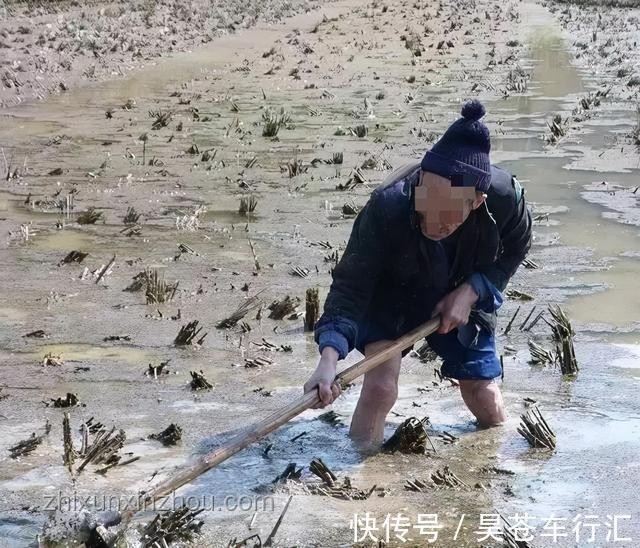揭秘老人味源头，55岁后这些少碰，优雅老去无异味