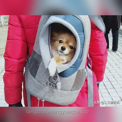 你以为很脏，其实很干净的生活习惯指南