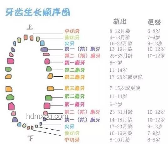 口腔健康习惯对比：睡前刷牙与早起饮食顺序